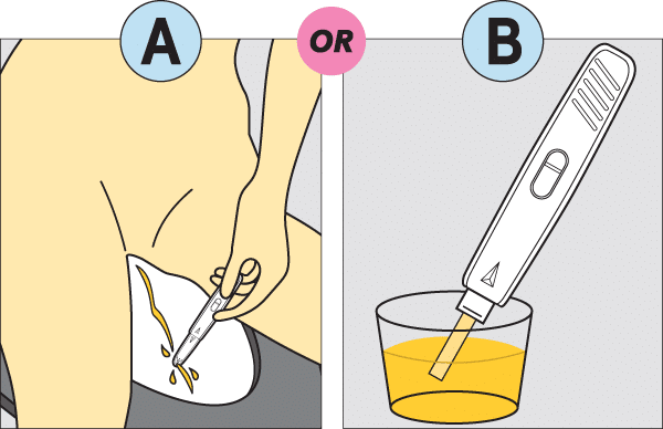 Use either method A or B to begin the test