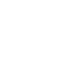 alert icon